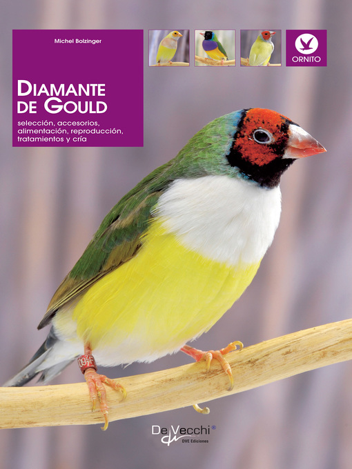 Cover image for Diamante de Gould